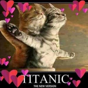 Meet your Posher, Belinda